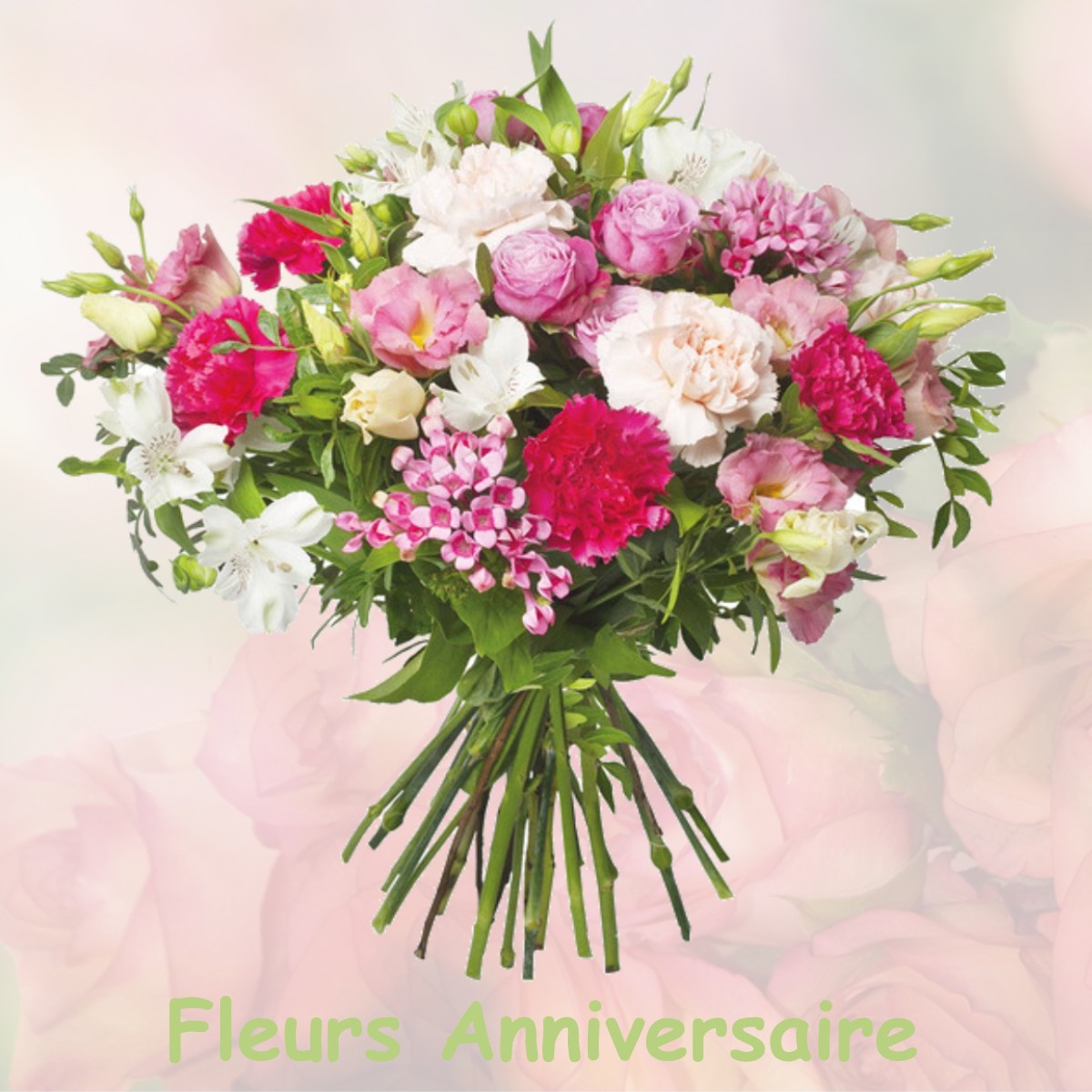 fleurs anniversaire VILLENEUVE-LES-MONTREAL